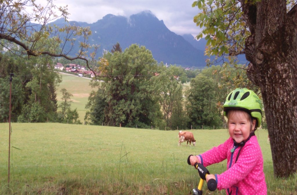 Sommer im Inntal